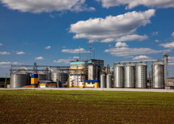 Contratação de frete marítimo no agronegócio registra crescimento desde 2023