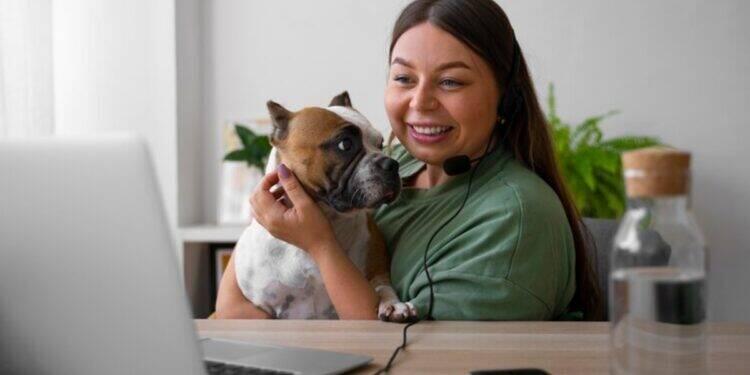 Telemedicina veterinária facilita atendimento a pets 16 Telemedicina veterinária facilita atendimento a pets