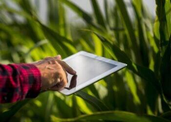 Hoff Analytics participará pela primeira vez da Agrishow