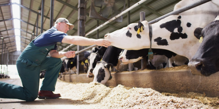 Elanco prevê crescimento global entre 2% e 3% para 2024 16 Elanco prevê crescimento global entre 2% e 3% para 2024