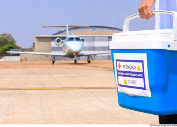 Temperatura e vibrações são desafios logísticos nos transplantes de órgãos