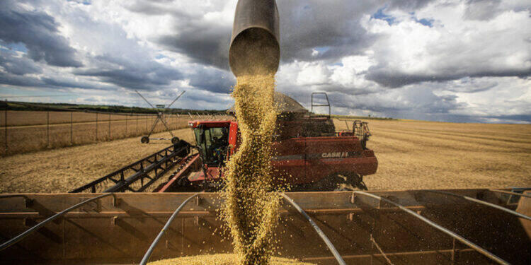 Falta de clareza na lei antidesmatamento europeia preocupa agroexportadores