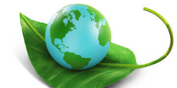 Junho é o mês da consciência ambiental 3 Junho é o mês da consciência ambiental