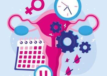 Teste Proov Predict afere melhores dias para tentar gravidez