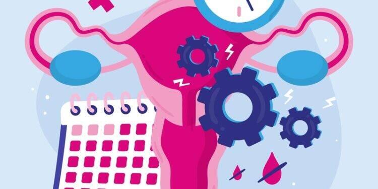 Teste Proov Predict afere melhores dias para tentar gravidez 16 Teste Proov Predict afere melhores dias para tentar gravidez