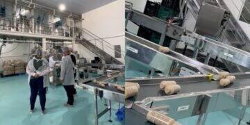 Felps Professional marca 10 anos com expansão global