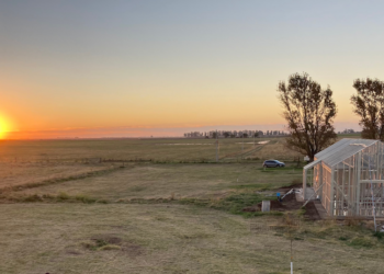 Inovações na construção civil apontam para um futuro sustentável