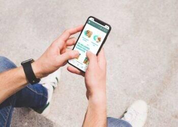 E-commerce segue forte: alimentos e bebidas é destaque