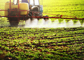Publicação aponta uso de pesticidas em alimentos infantis