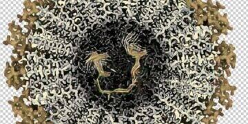 Produtos nanoestruturados ganham força na cosmética 3 Produtos nanoestruturados ganham força na cosmética