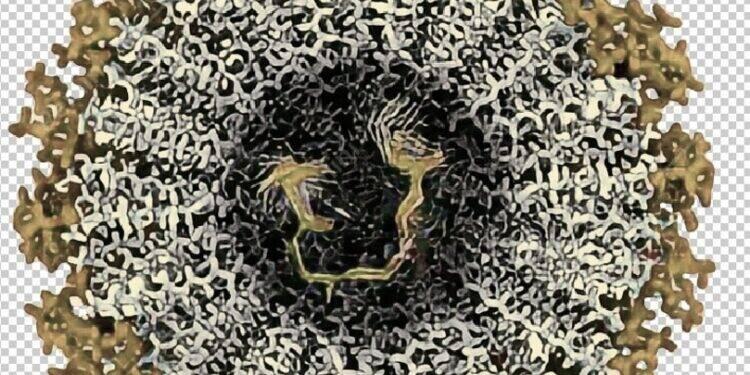 Produtos nanoestruturados ganham força na cosmética 16 Produtos nanoestruturados ganham força na cosmética