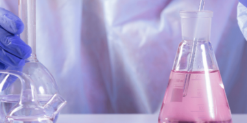 Além das pílulas: como a vitamina B12 melhora a pele