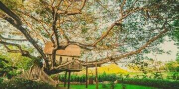 Novo Jogo mobile combina aventura e cuidado de animais