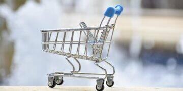 Shopee é principal fonte de renda para 30% de seus lojistas 3 Shopee é principal fonte de renda para 30% de seus lojistas