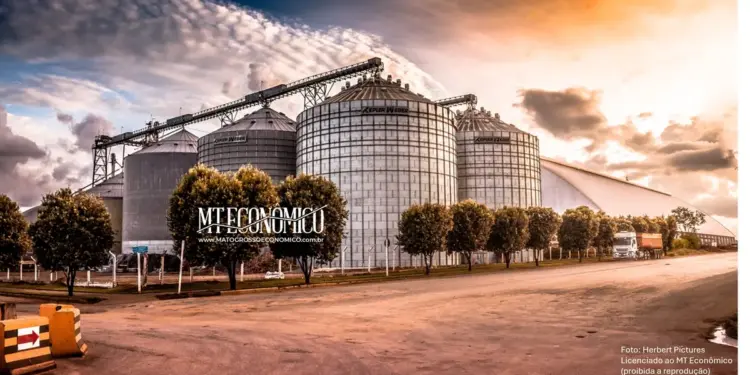 Cidades de MT crescem mais de 100% nos últimos 20 anos