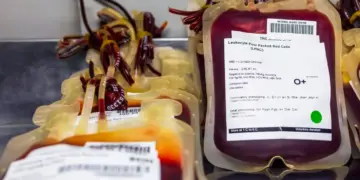 Brasil descarta doações de sangue por falhas de conservação e contaminação 3 Brasil descarta doações de sangue por falhas de conservação e contaminação