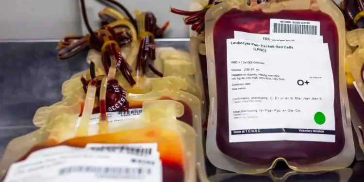 Brasil descarta doações de sangue por falhas de conservação e contaminação 16 Brasil descarta doações de sangue por falhas de conservação e contaminação