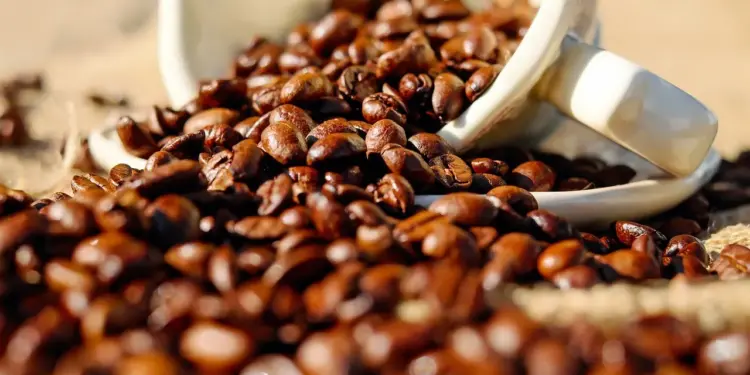 Qualidade-Sustentavel-do-Cafe-para-Espresso