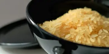 Em assembleia durante a Agroponte, SindArroz-SC ressalta a valorização do arroz nacional 3 arroz-nacional