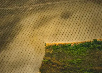 Diversidade marca programação de Hub Técnico da 9ª edição do Congresso Nacional das Mulheres do Agronegócio