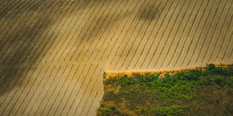 Diversidade marca programação de Hub Técnico da 9ª edição do Congresso Nacional das Mulheres do Agronegócio mulheres agronegocio 1
