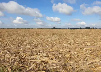 Seca prolongada ameaça produção agrícola e pressiona custos no Brasil