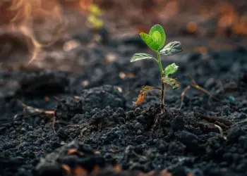 Fábrica de fertilizantes verdes da Atlas Agro no Brasil integra esforço global de transição energética e descarbonização das economias 