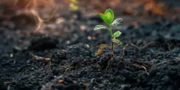 Fábrica de fertilizantes verdes da Atlas Agro no Brasil integra esforço global de transição energética e descarbonização das economias 3 Fábrica de fertilizantes verdes da Atlas Agro no Brasil integra esforço global de transição energética e descarbonização das economias