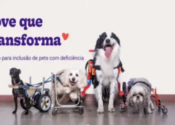 Love que Transforma: nasce a primeira plataforma de inclusão e visibilidade de pets com deficiência, desenvolvida pela Petlove