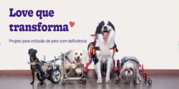 Love que Transforma: nasce a primeira plataforma de inclusão e visibilidade de pets com deficiência, desenvolvida pela Petlove 1 Love que Transforma: nasce a primeira plataforma de inclusão e visibilidade de pets com deficiência, desenvolvida pela Petlove