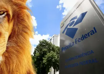 Como fazer declaração de imposto de renda 2025 - Guia completo
