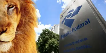 Como fazer declaração de imposto de renda 2025 - Guia completo 1 Como fazer declaração de imposto de renda 2025 - Guia completo