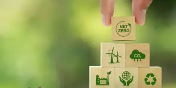 Brasil pode liderar mercado de Créditos de Carbono no mundo 1 cred-carbono-01 (1)