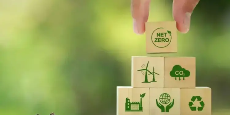 Brasil pode liderar mercado de Créditos de Carbono no mundo 14 cred-carbono-01 (1)