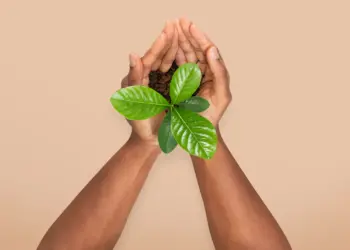 ENGIE Brasil Energia está entre as 100 empresas líderes globais em sustentabilidade