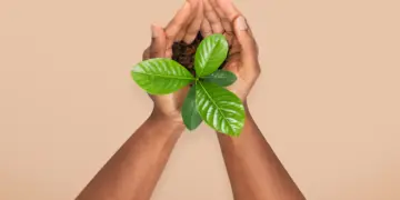 ENGIE Brasil Energia está entre as 100 empresas líderes globais em sustentabilidade 1 ENGIE Brasil Energia está entre as 100 empresas líderes globais em sustentabilidade