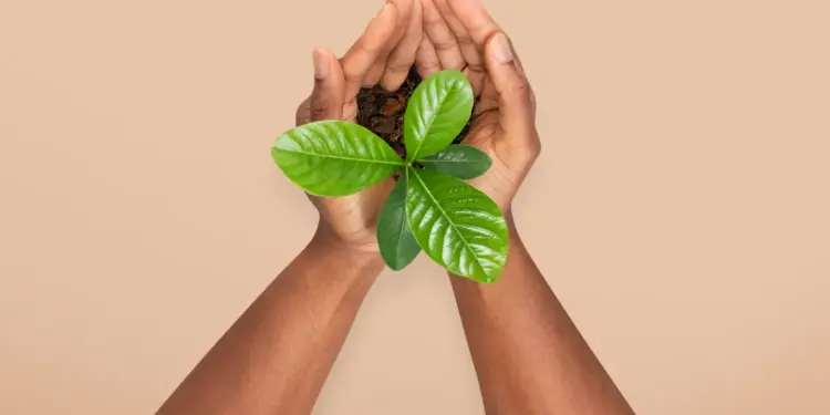 ENGIE Brasil Energia está entre as 100 empresas líderes globais em sustentabilidade 14 ENGIE Brasil Energia está entre as 100 empresas líderes globais em sustentabilidade empresa global sustentabilidade