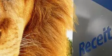 imposto de renda - ministro fernando hadadd governo federal - leao 2025