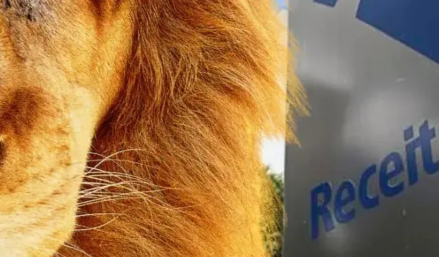 imposto de renda - ministro fernando hadadd governo federal - leao 2025