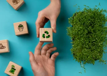 Crédito de carbono no agronegócio: potencial, desafios e perspectivas de crescimento 