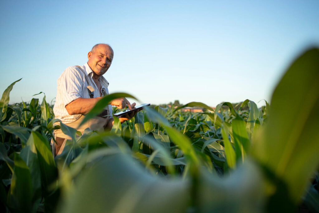 Transição energética avança no agronegócio com aposta em combustíveis alternativos Agronegocio 4 1 1
