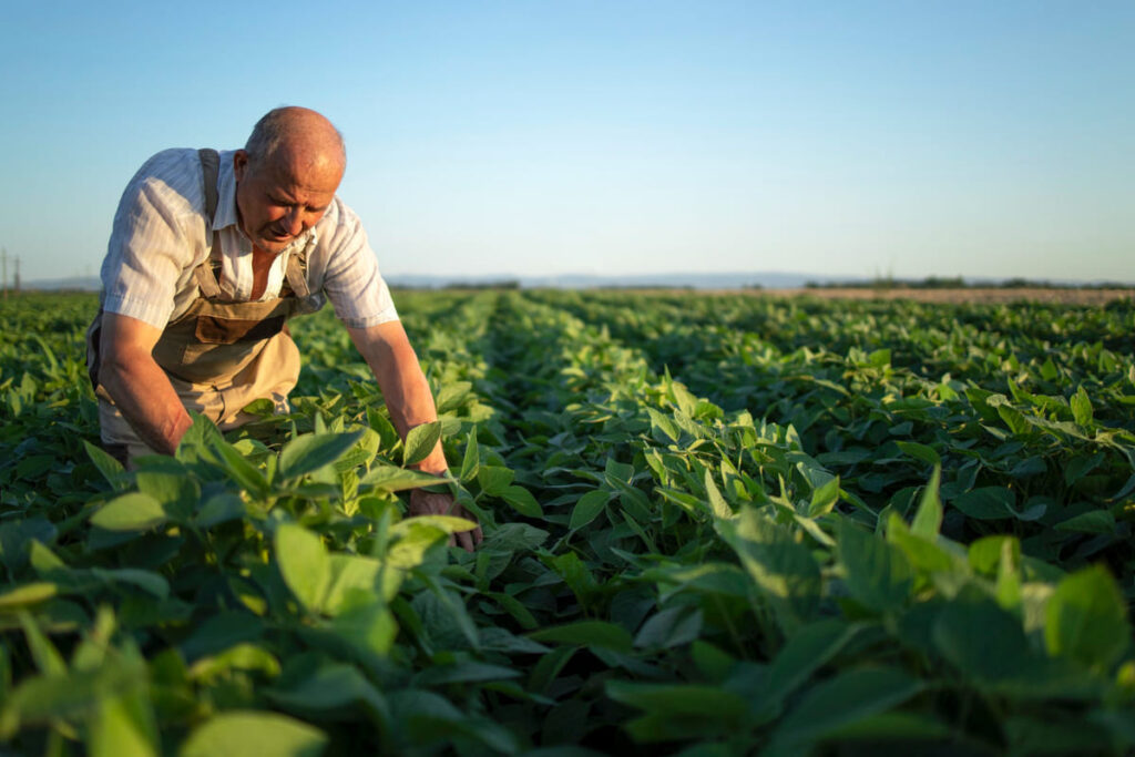 Fundo da Rio Bravo capta R$ 50 milhões para financiar agronegócio paulista Agronegocio Brasileiro 1 1