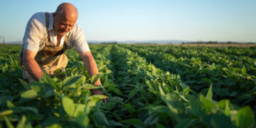 Impactos da Reforma Tributária sobre os FIAGROs e o Agronegócio Brasileiro 1 Impactos da Reforma Tributária sobre os FIAGROs e o Agronegócio Brasileiro
