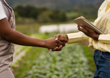 Novas fronteiras agrícolas, MATOPIBA e SEALBA oferecem boas oportunidades de expansão do agronegócio