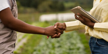 Novas fronteiras agrícolas, MATOPIBA e SEALBA oferecem boas oportunidades de expansão do agronegócio 1 Novas fronteiras agrícolas, MATOPIBA e SEALBA oferecem boas oportunidades de expansão do agronegócio