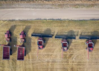 Brasil se Torna Líder Mundial em Exportações de Commodities do Agronegócio