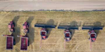 Brasil se Torna Líder Mundial em Exportações de Commodities do Agronegócio