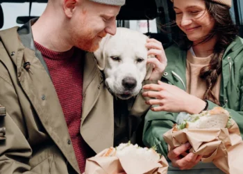 Viagens Pet Friendly 6 Destinos Perfeitos para Viajar com Seu Cachorro