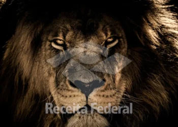 atualização imposto de renda 2025