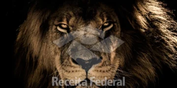 Semana do Imposto de Renda 2025: Últimas atualizações 1 atualização imposto de renda 2025